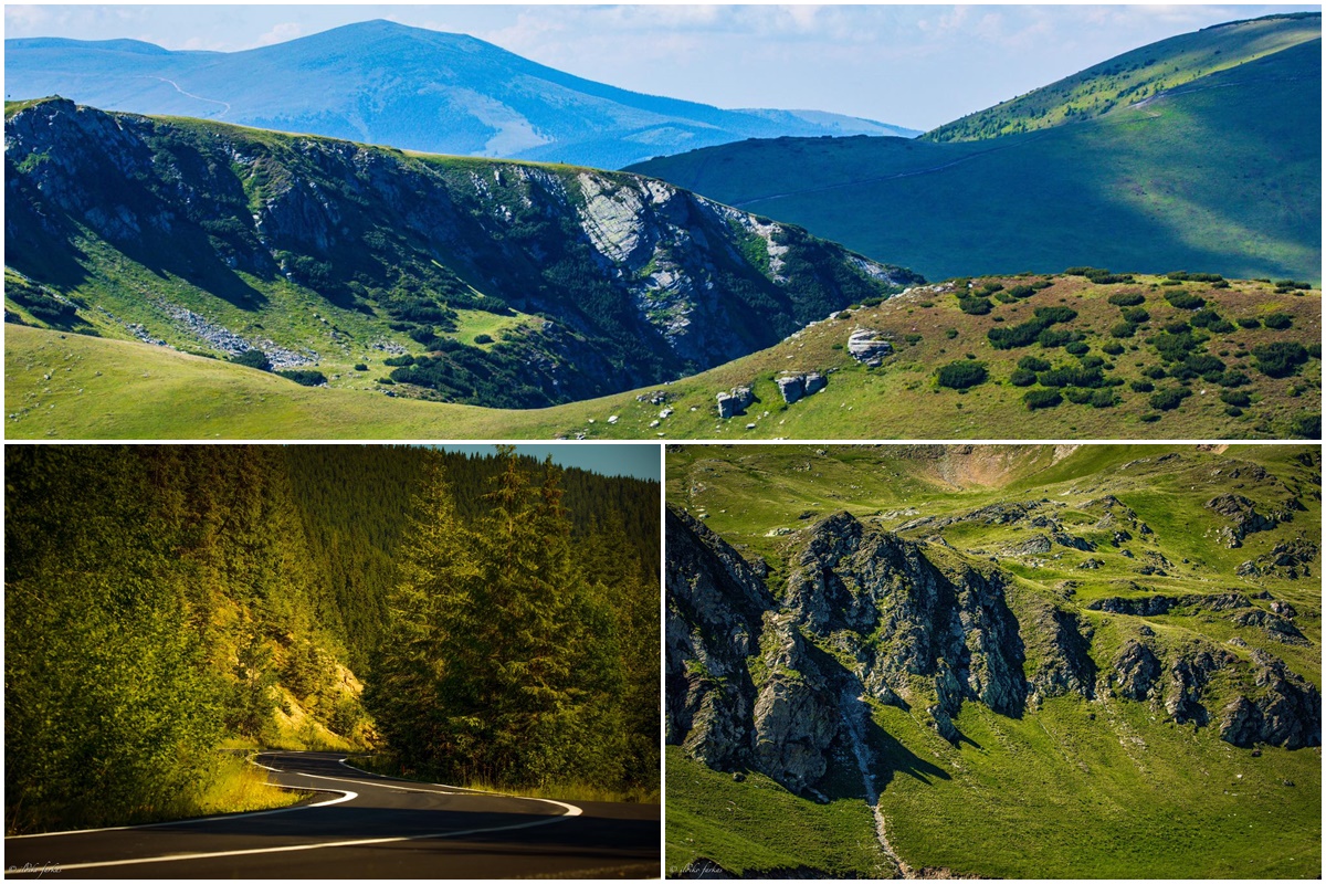 Pe urmele Transalpinei - natura, natura și... natura